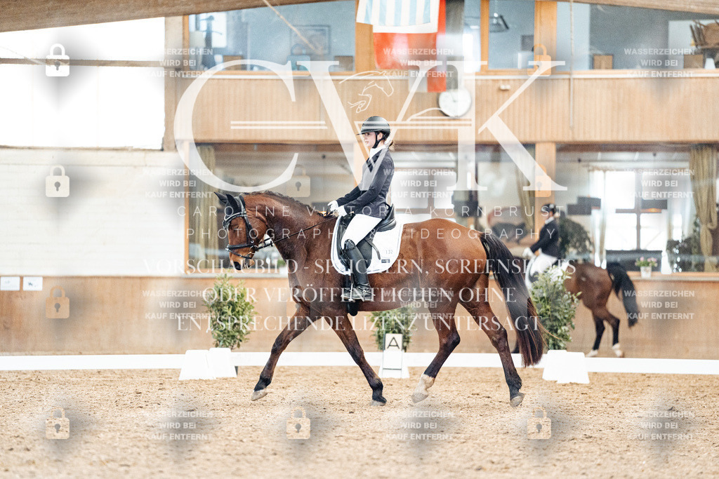 CK909251 | Turnierfotografie Pferdefotografie Trier Rheinland-Pfalz Pferdesport Reitsport Tierfotografie Sportfotografie Pferdevideo Pferdevideografie Equestrianvideography equestrianphotography  - Realisiert mit Pictrs.com