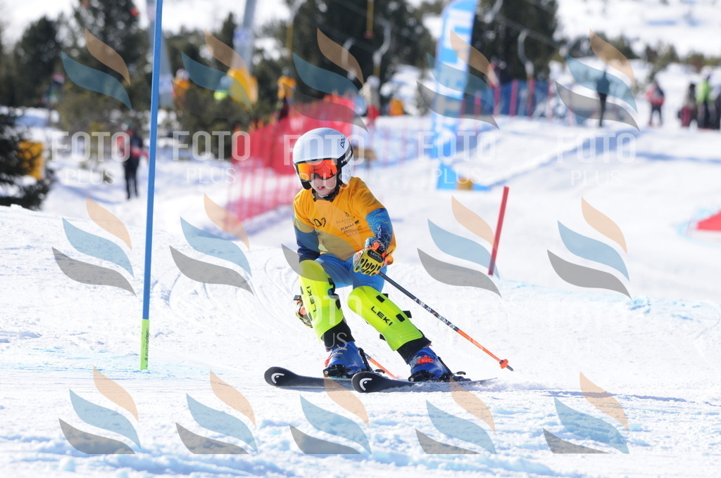 C7085 | holidayphoto