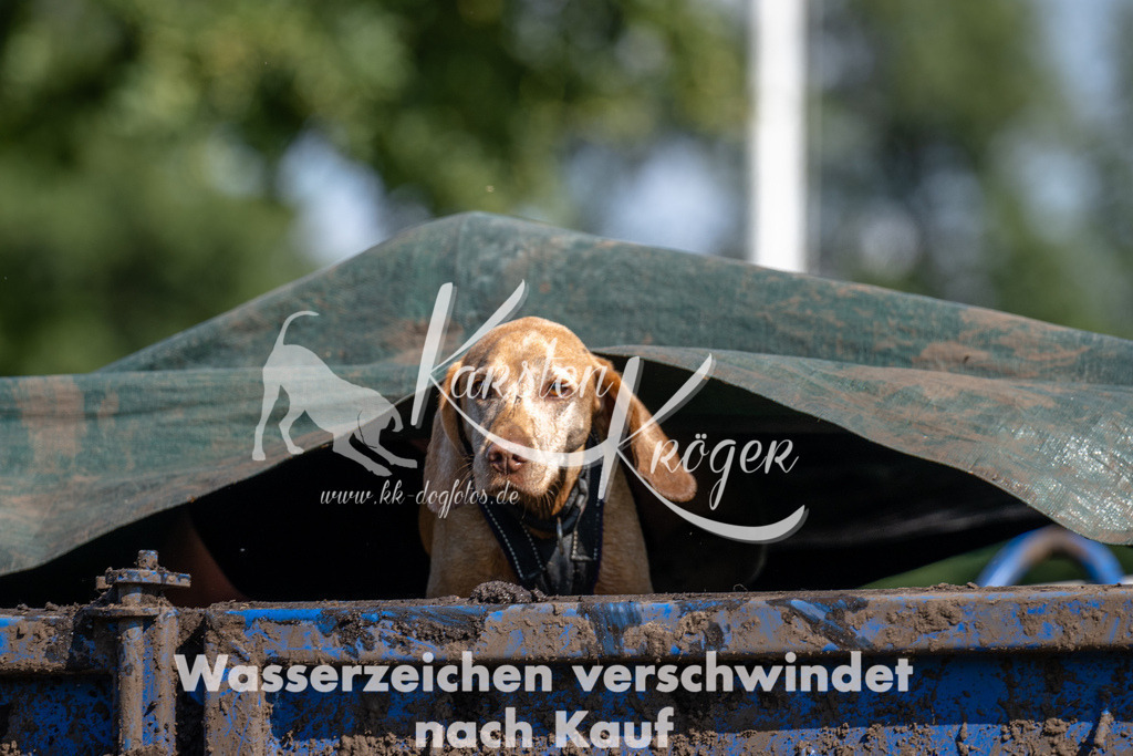 1427_ZZ91111 | kk-dogfotos
