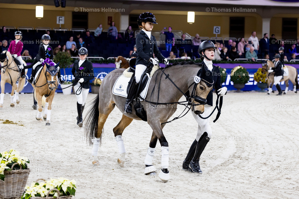TH_Nürnberger Burgpokal Führzügelwettbewerb_13234 | Nürnberger Burgpokal Führzügelwettbewerb beim Festhallen Reitturnier Frankfurt 2023 am 15.12.23 in Frankfurt, Festhalle