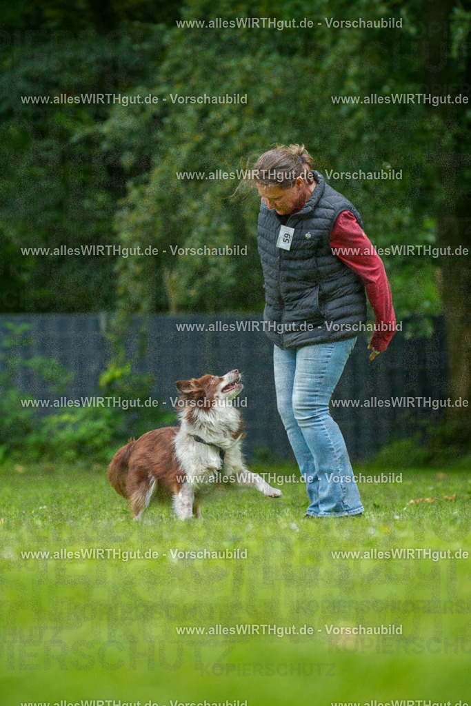 @allesWIRTHgut_Tierfotografie - www.allesWIRTHgut.de - 7R501431 | Professionelle Tierfotografie in Mönchengladbach von Daniel Wirth (allesWIRTHgut). Liebevolle & natürliche Bilder von Hunden & Katzen für unvergessliche Erinnerungen.