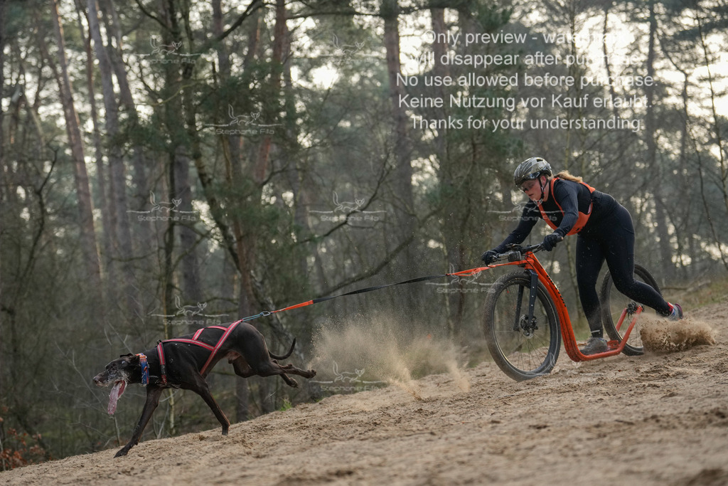 Scooter1-71 | stephaniefillaphotographie - Realisiert mit Pictrs.com