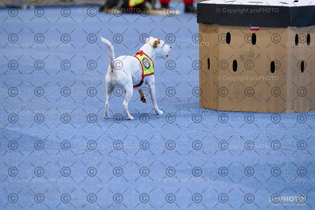 202406_ÖKV-IHA-Tulln24_DSC_3489 | proPHOTO - Realisiert mit Pictrs.com