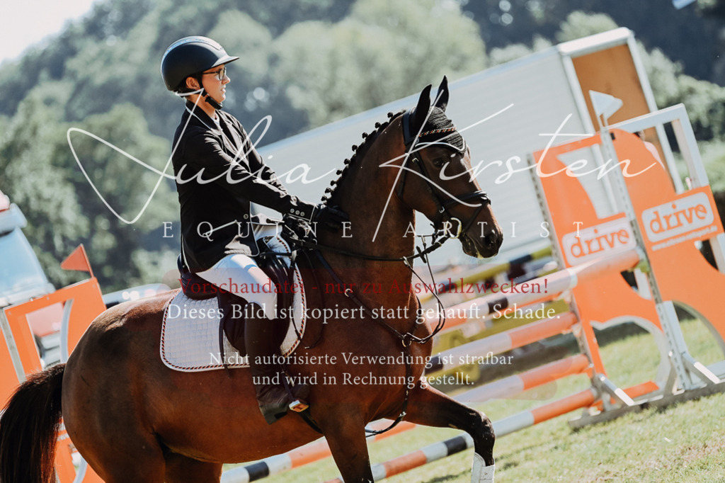 DSC_5567 | Pferde- und Turnierfotografie in Westsachsen. Pferdeportraits, Auftragszeichnungen und intuitive Kunst.