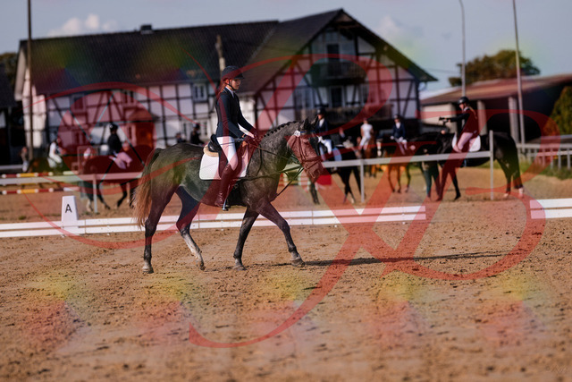 2026_10_03_Siefer-Hof_120022_Z81_01892330 | Professionelle Reitsport-, Turnier- und Eventfotografie von Robert Broda. Galerien mit ausgewählten und bearbeiteten Bildern direkt online ansehen und bestellen.