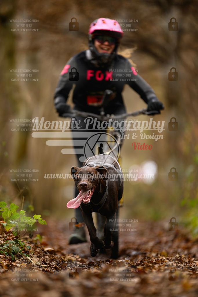 MompixPhotography_Eschau2024_DS1-8 | PayLife