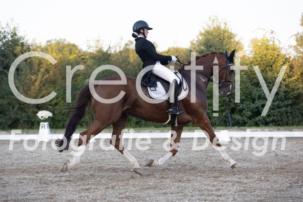 IMG_1868 | Creatify Fotografie