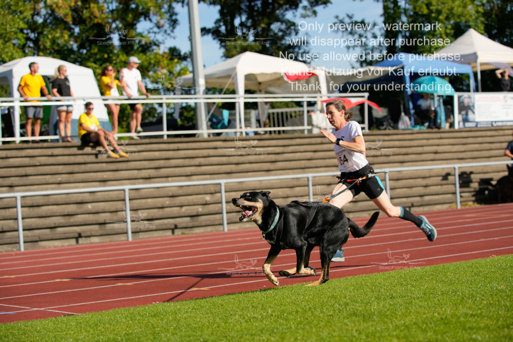 Sonntag_Staffel (308 von 336) | stephaniefillaphotographie - Realisiert mit Pictrs.com