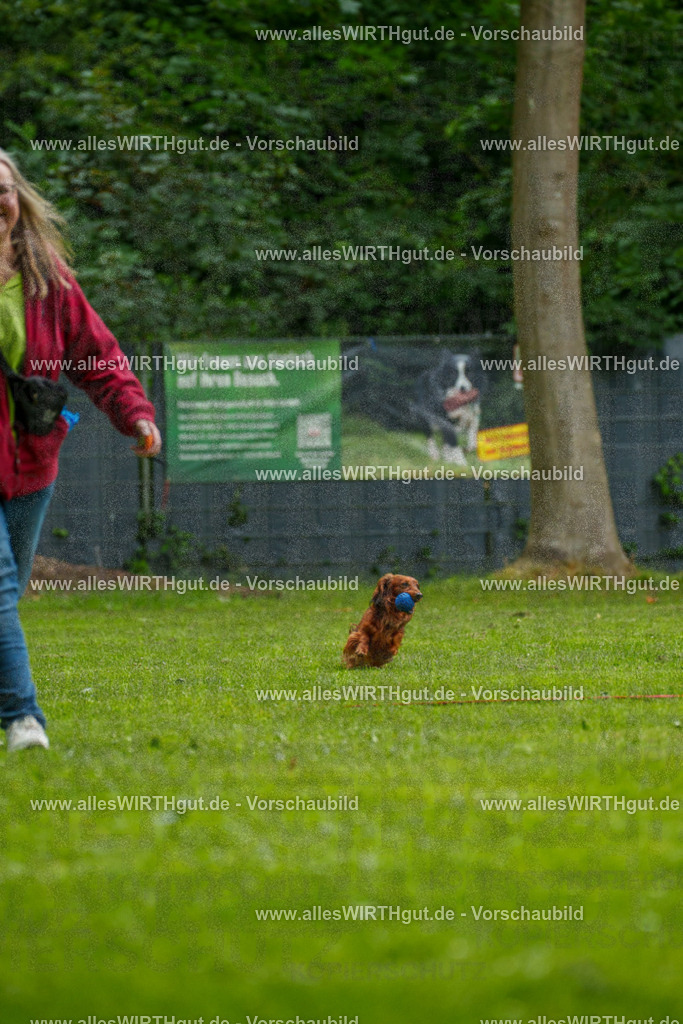 @allesWIRTHgut_Tierfotografie - www.allesWIRTHgut.de - 091059-7R506687 | Professionelle Tierfotografie in Mönchengladbach von Daniel Wirth (allesWIRTHgut). Liebevolle & natürliche Bilder von Hunden & Katzen für unvergessliche Erinnerungen.