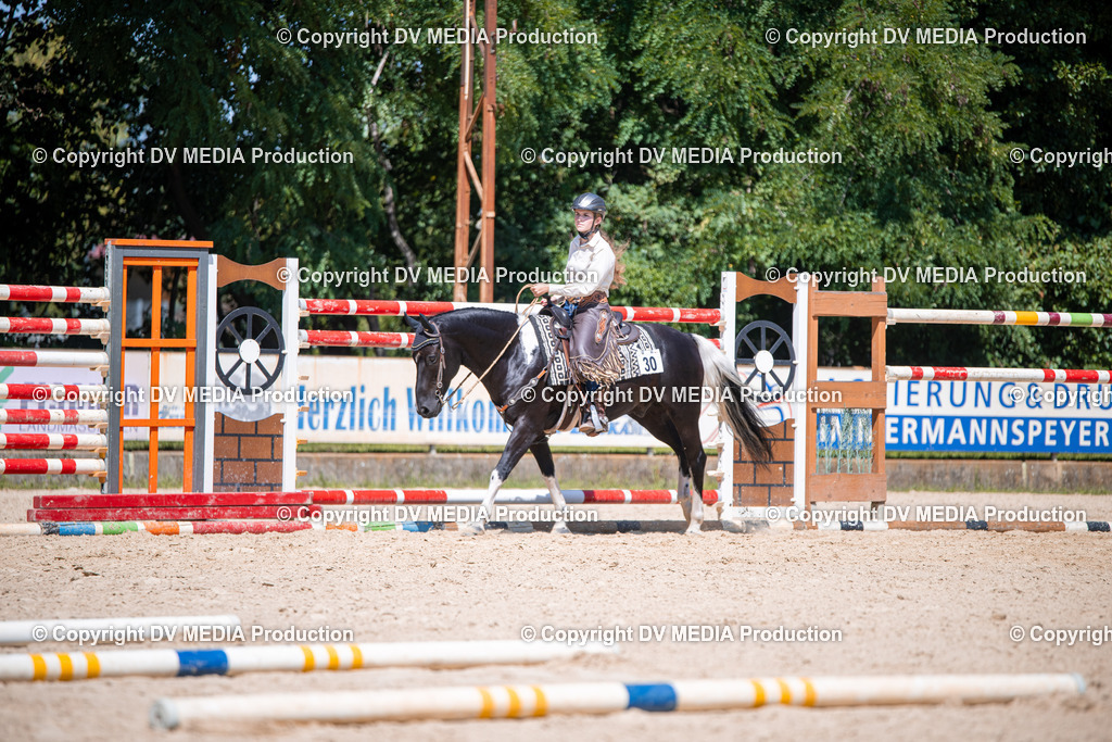 ZS1_1307 | dv-media-shop - Realisiert mit Pictrs.com