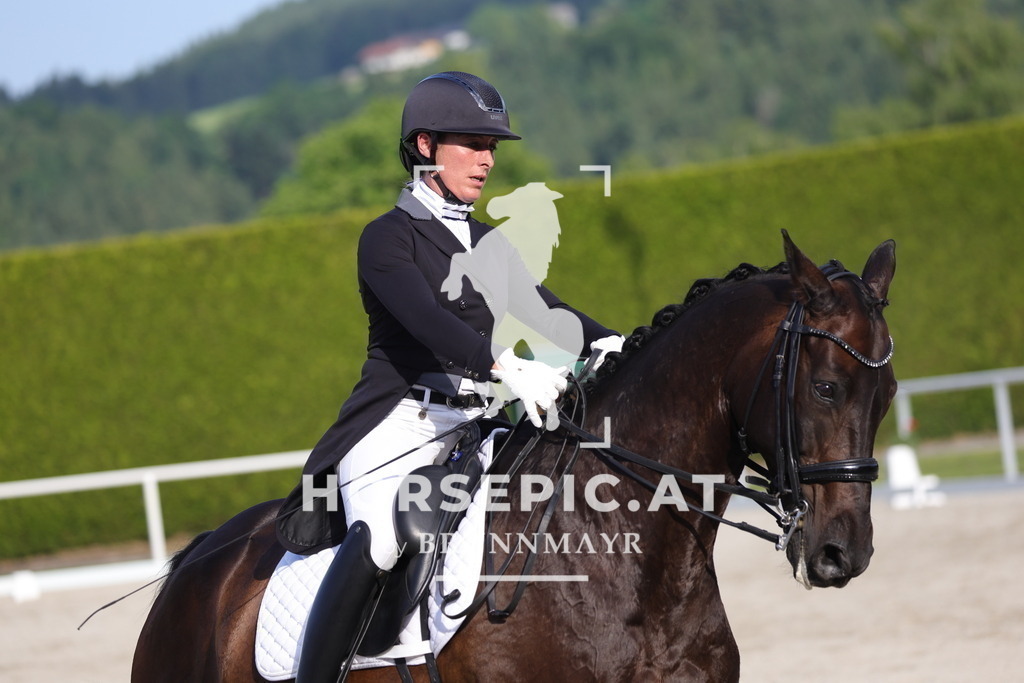 0P6A3833 | Willkommen bei Brunnmayr - Design & Fotografie – Ihrem Spezialisten für Reitturniere und Pferdeveranstaltungen in Oberösterreich, Salzburg und Bayern! Seit über 17 Jahren sind wir leidenschaftlich dabei.