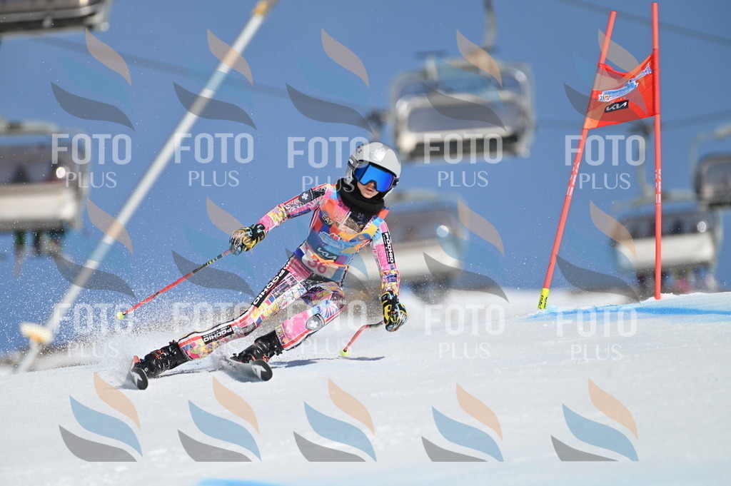 BGV_8260 | holidayphoto