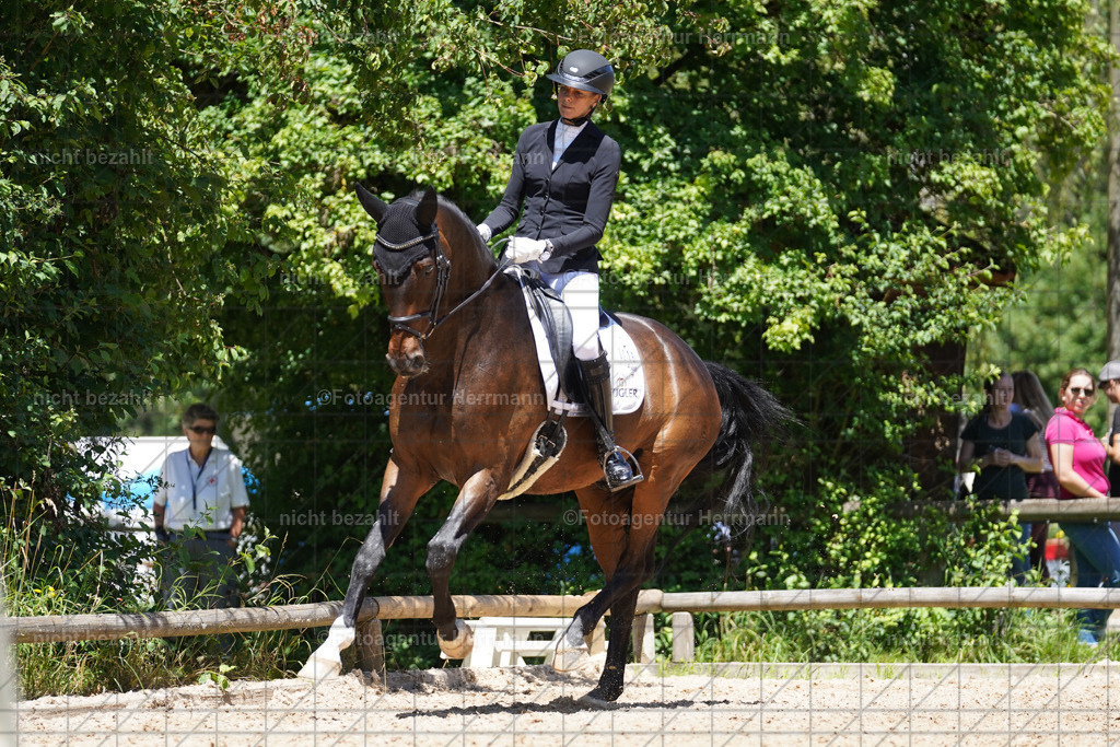 20240705-FAH03719 | Turnierbilder von Grafing, Reitsportbilder, Turnierfotos, Turnierfotografen Bayern, Pferdefotograf, Fotoagentur Herrmann