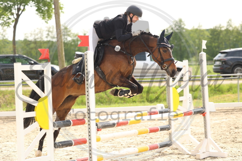 994A7804 | sabrinanicolaifotografie - Realisiert mit Pictrs.com