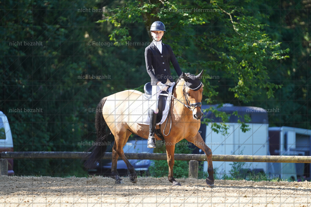 20240706-FAH04519 | Grafing Turnierfotos, Reitverein Ebersberg, Turnierfotografen Bayern, reitsportbilder, Pferdefotograf, reitsportfotograf, Sportbilder, Reitsportfotografie, Fotoagentur Herrmann, Turnierfotograf