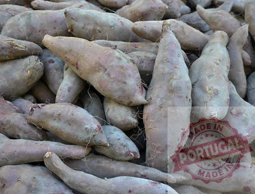 Sweet potatoes harvesting fresh organic root vegetables | Sweet potatoes filling the frame, showing texture and natural color - Realized with Pictrs.com