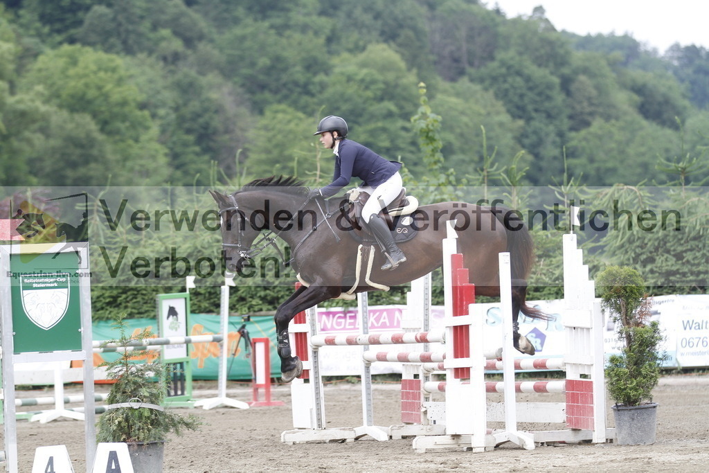 _MG_2980 | equestrian-live-com
