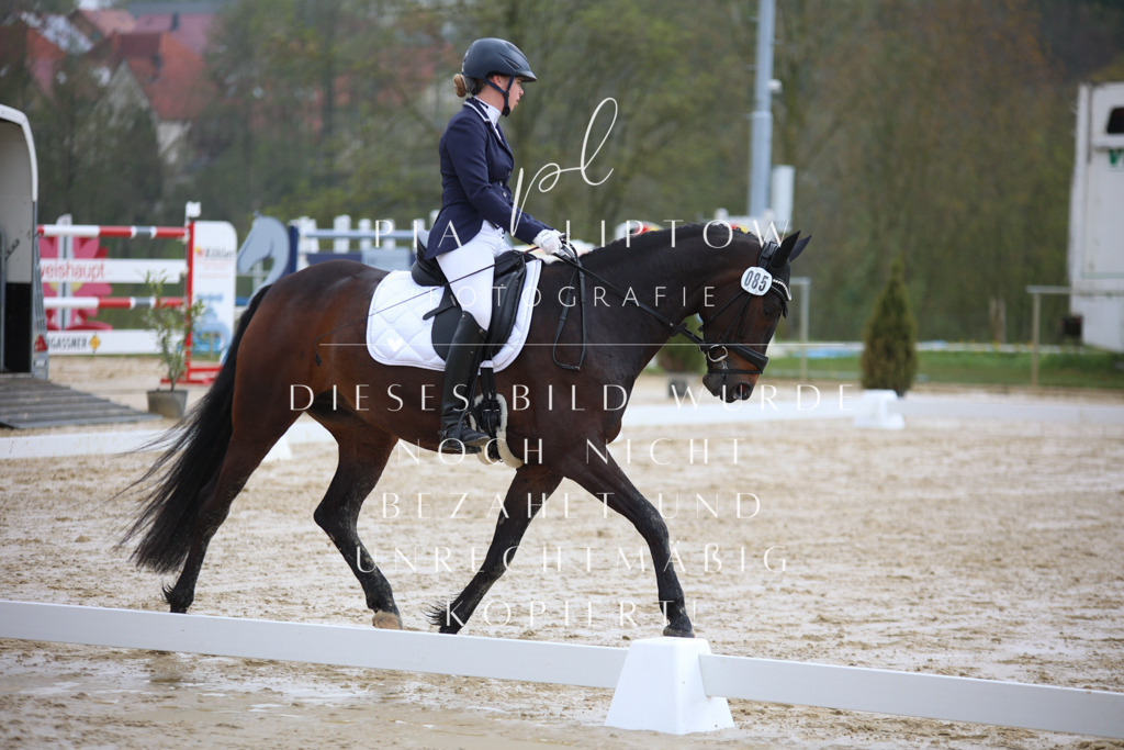 IMGT2749 | pl-fotografie