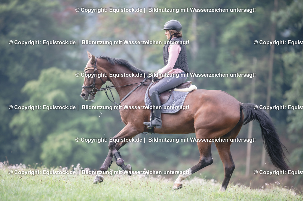 20250726_Vielseitigkeitslehrgang-Marbach_0031 | Foto: Thomas Hartig