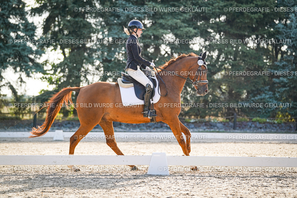 DSC08062 | Pferdegrafie