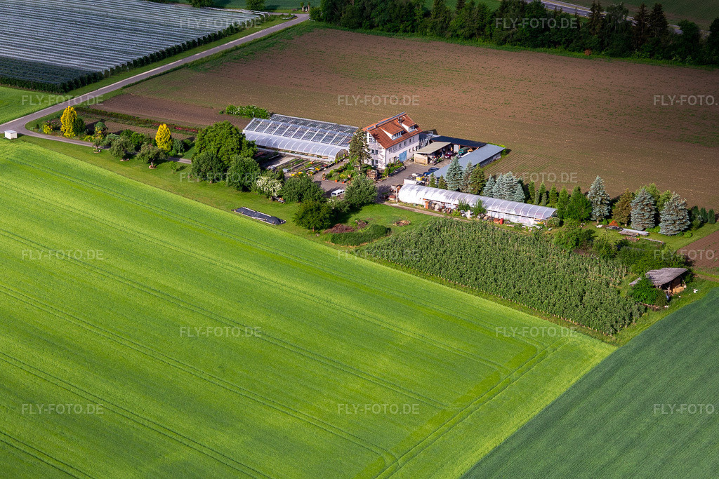 Luftbild: Hodapp Gärtnerei und Floristik im Ortsteil Altheim in Frickingen im Bundesland Baden-Württemberg in Deutschland. Foto: IMG_132042.jpg vom 26.05.2022 durch Werner Riehm/FLY-FOTO.de