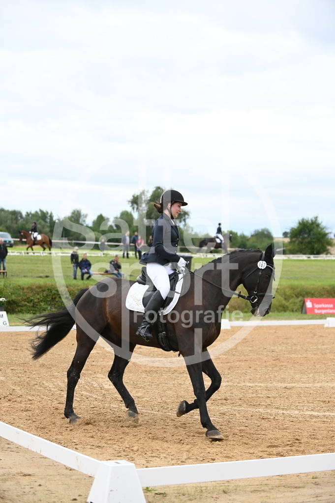 DSC_4540 | sattelsport - Realisiert mit Pictrs.com