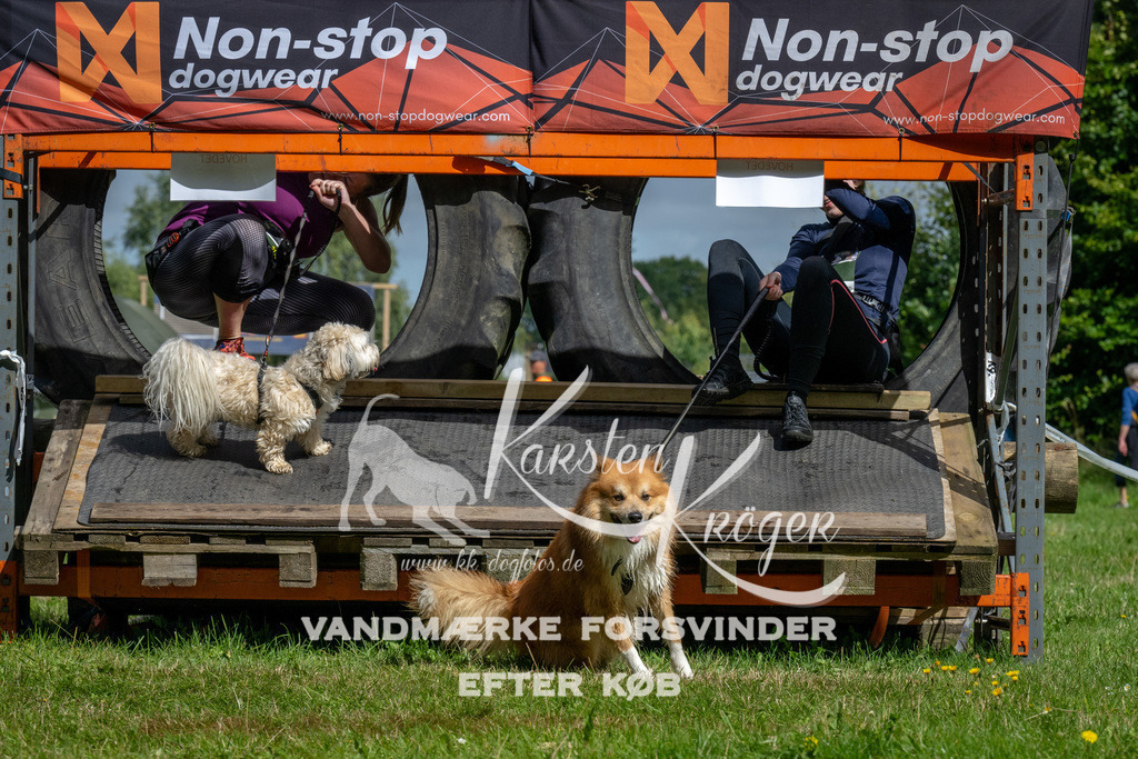 1134_ZZ92583 | kk-dogfotos