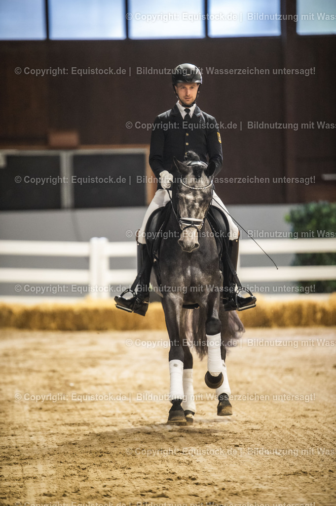 20240302_Hengstvorstellung_Marbach_TOMsPiC_0169 | equistock