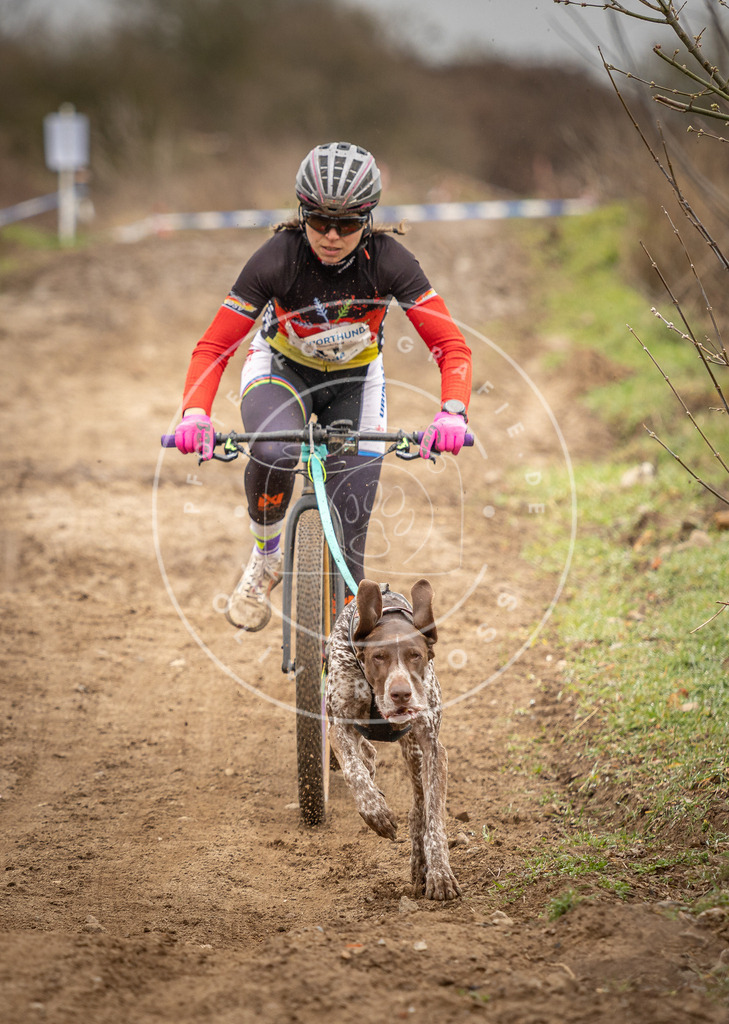 DV3A1253 | Hundefotografie, Tierfotograf, Pfotenfotografie, Fotoshooting Hund, Hunde Portrait, Hundesport, Hundeportraits, Heideshooting, Hunde, Sportfotograf, Hundefotograf, Turnierhundsport, THS,  - Realisiert mit Pictrs.com