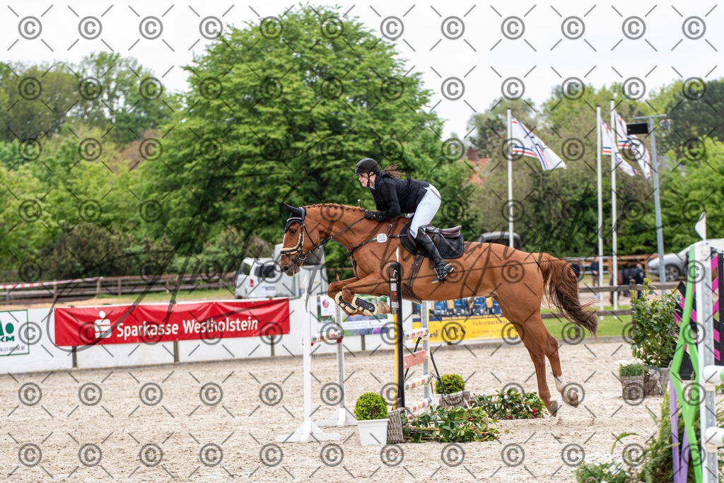 KPT_8750 | andre_photographic