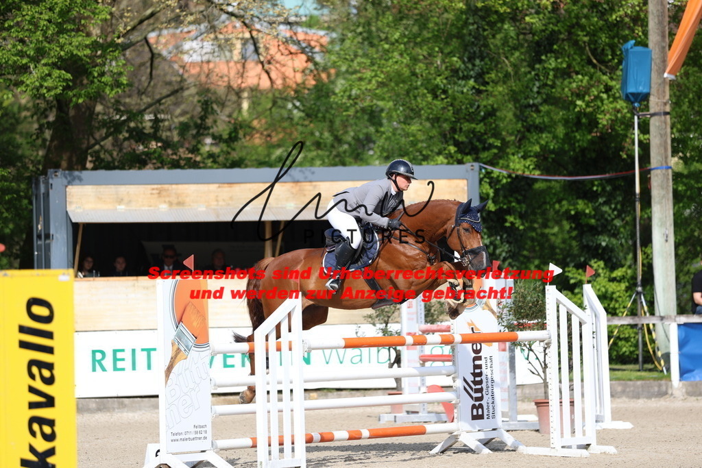 A40A2792 | lmwpictures - Realisiert mit Pictrs.com