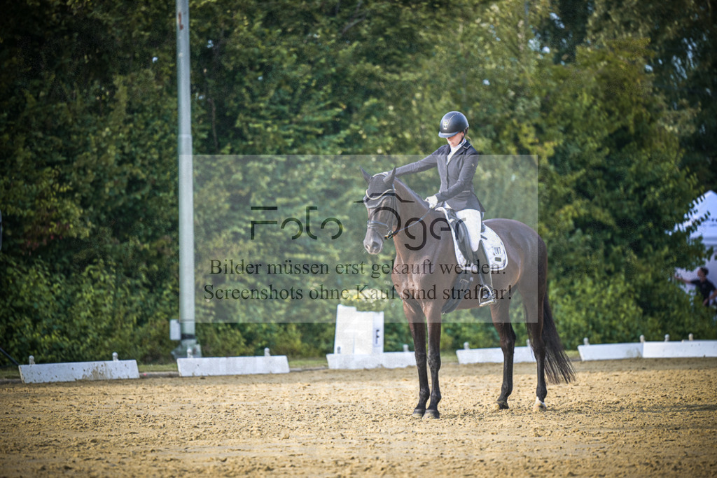 DOS_0975 | Entdecke hochwertige Reitturnierfotos von Foto Oger. Professionell, emotional und authentisch – jetzt Lieblingsmomente im Shop bestellen.Deutschlandweite Turnierfotografie. - Realisiert mit Pictrs.com