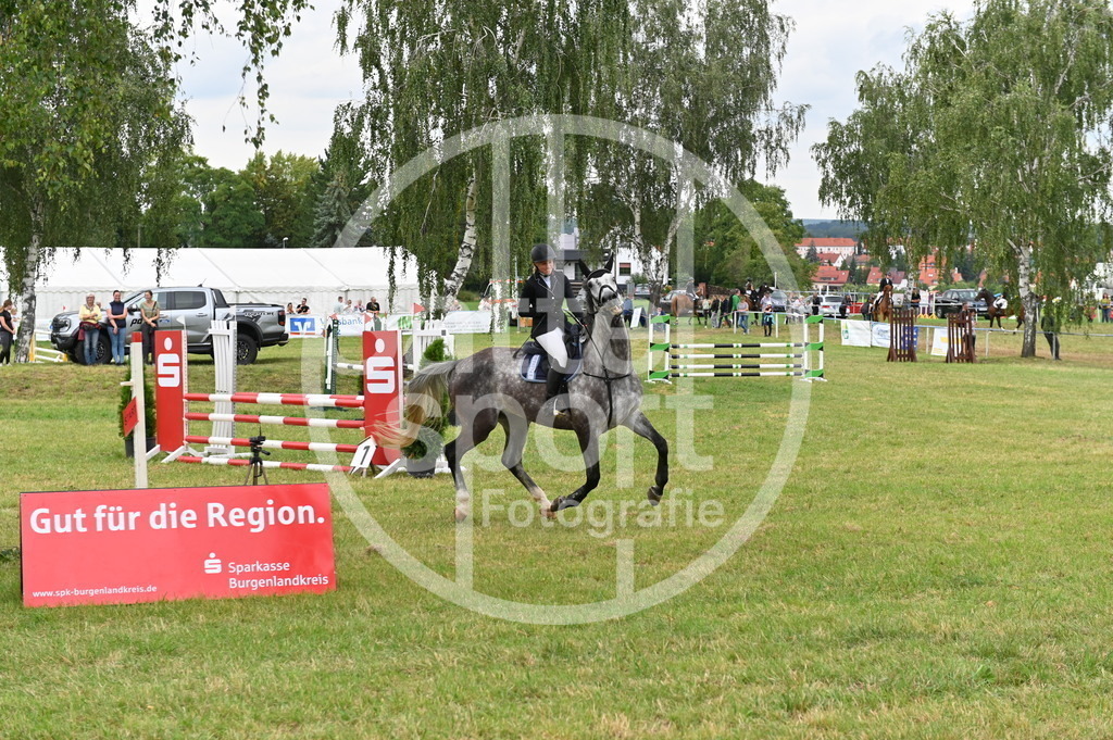 DSC_3330 | sattelsport - Realisiert mit Pictrs.com