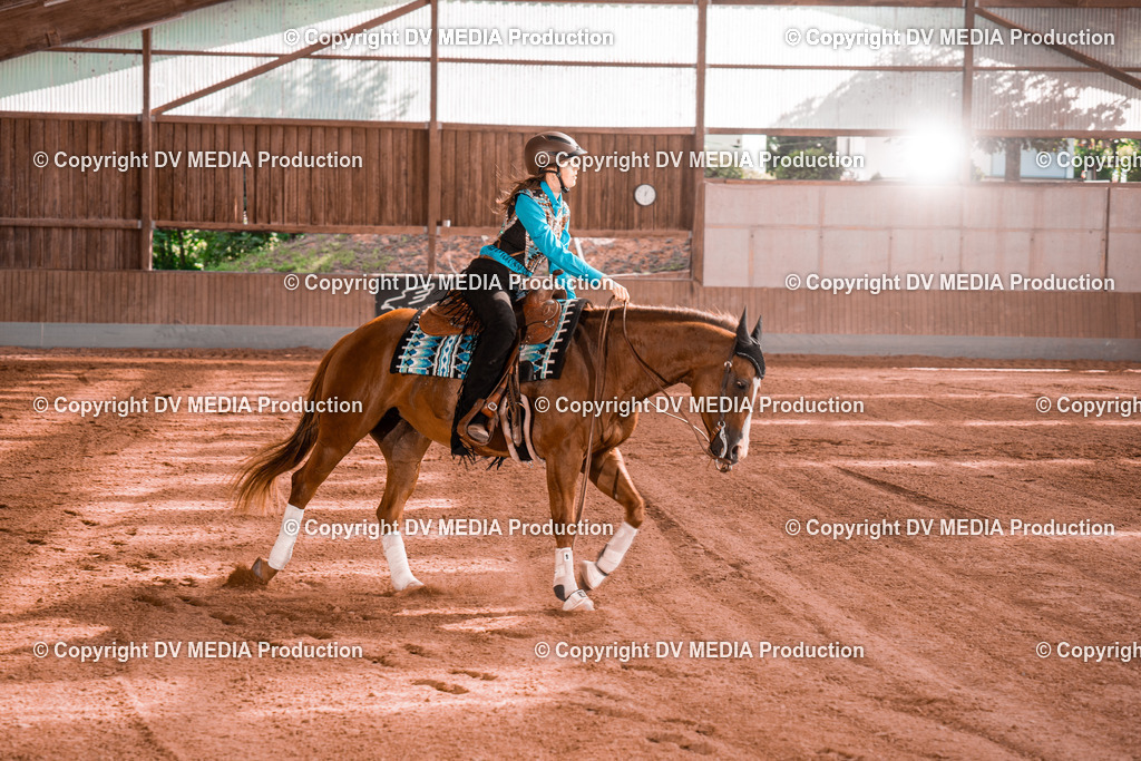 NE201139 | dv-media-shop - Realisiert mit Pictrs.com