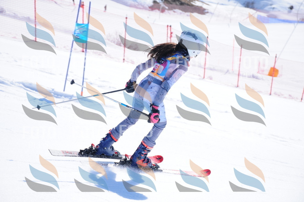 DSC_3932 | holidayphoto