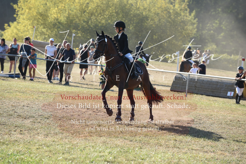 DSC_5573 | Pferde- und Turnierfotografie in Westsachsen. Pferdeportraits, Auftragszeichnungen und intuitive Kunst.