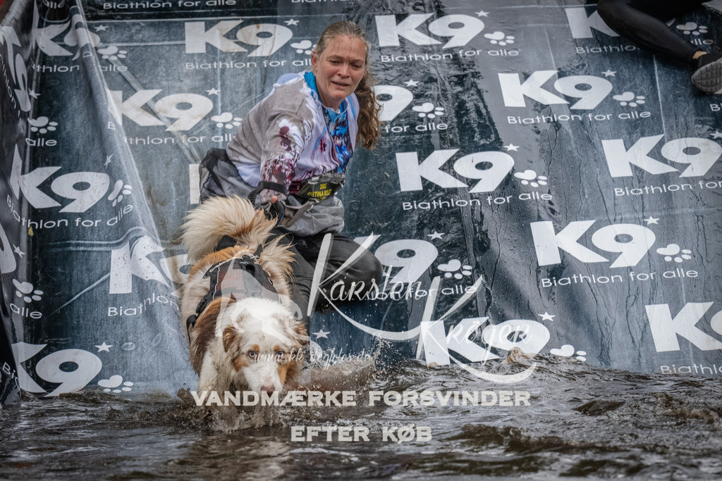 1154_ZZ93843 | kk-dogfotos