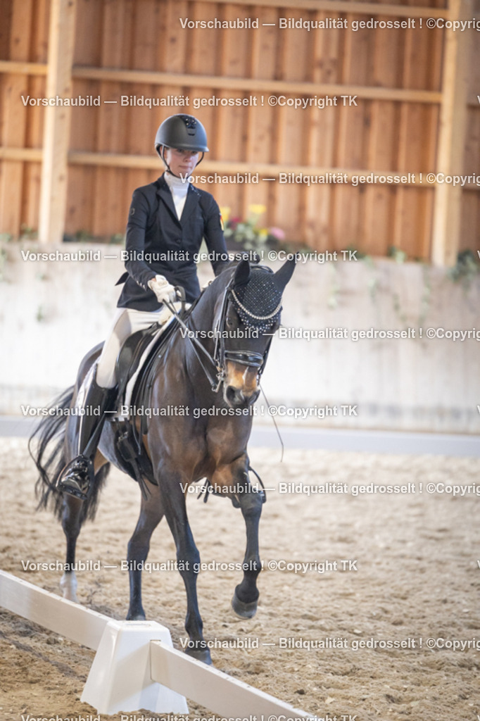 _D5A1859 | Emotionale Pferde- & People-Fotografie rund um Heidelberg, Leimen & Umgebung. Natürliche Fotos von Pferd, Mensch & Familie. Jetzt Termin sichern!