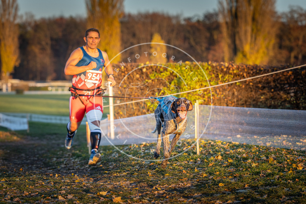 CaniXpix_DV3A5704 | Hundefotografie, Tierfotograf, Pfotenfotografie, Fotoshooting Hund, Hunde Portrait, Hundesport, Hundeportraits, Heideshooting, Hunde, Sportfotograf, Hundefotograf, Turnierhundsport, THS,  - Realisiert mit Pictrs.com