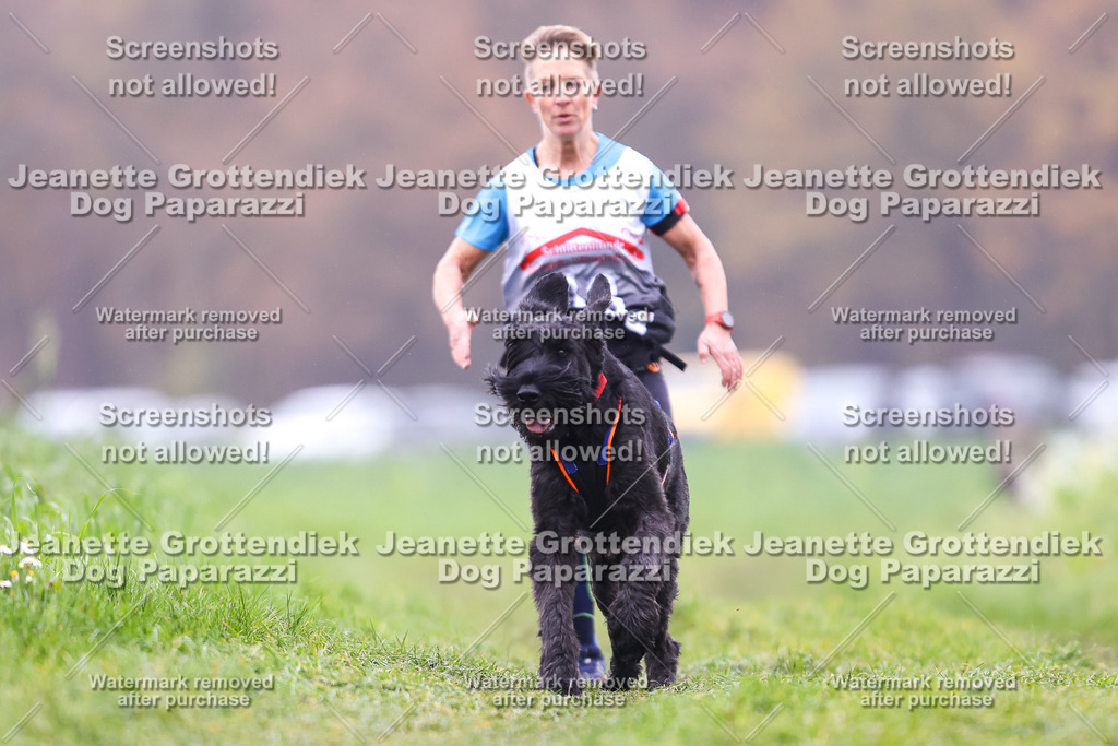 Dog Paparazzi - Visbeck 25 -819 | Dog Paparazzi Jeanette Grottendiek Fotografie & Videografie - Realisiert mit Pictrs.com