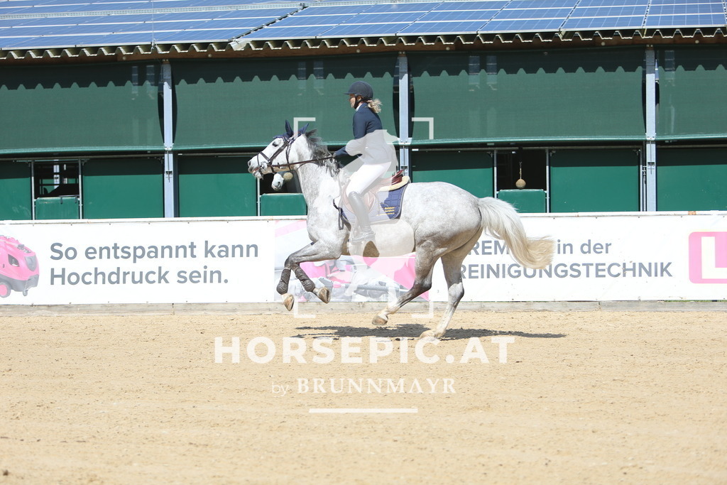 DL2Q0224 | Willkommen bei Brunnmayr - Design & Fotografie – Ihrem Spezialisten für Reitturniere und Pferdeveranstaltungen in Oberösterreich, Salzburg und Bayern! Seit über 17 Jahren sind wir leidenschaftlich dabei.