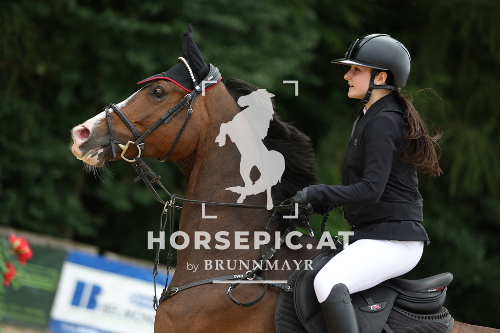 0P6A5103 | Willkommen bei Brunnmayr - Design & Fotografie – Ihrem Spezialisten für Reitturniere und Pferdeveranstaltungen in Oberösterreich, Salzburg und Bayern! Seit über 17 Jahren sind wir leidenschaftlich dabei.