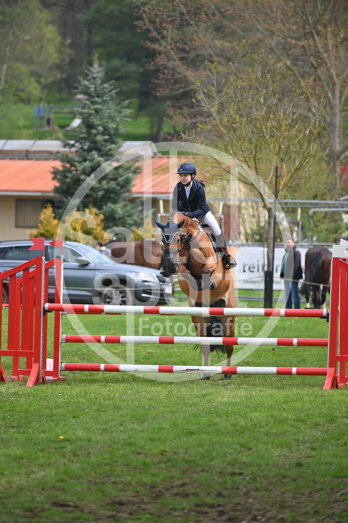 DSC_1684 | sattelsport - Realisiert mit Pictrs.com