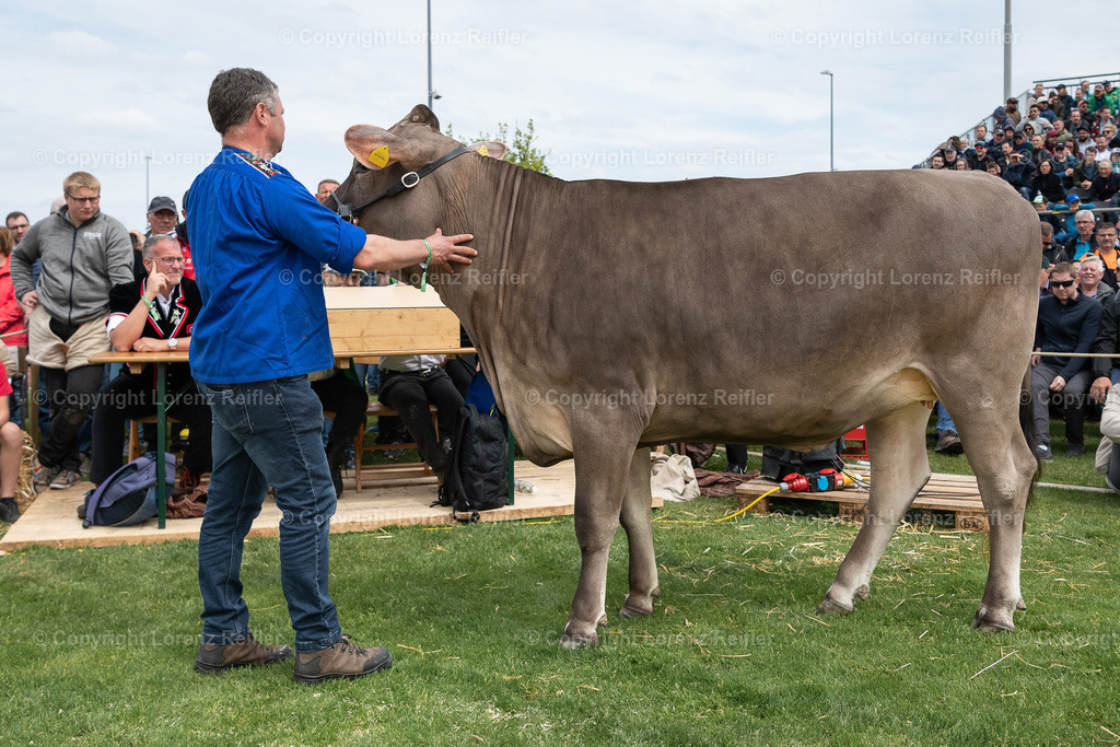 Schwingen -  TG Kantonal 2023 | Neukirch-Egnach, 30.4.23, Schwingen - TG Kantonal.