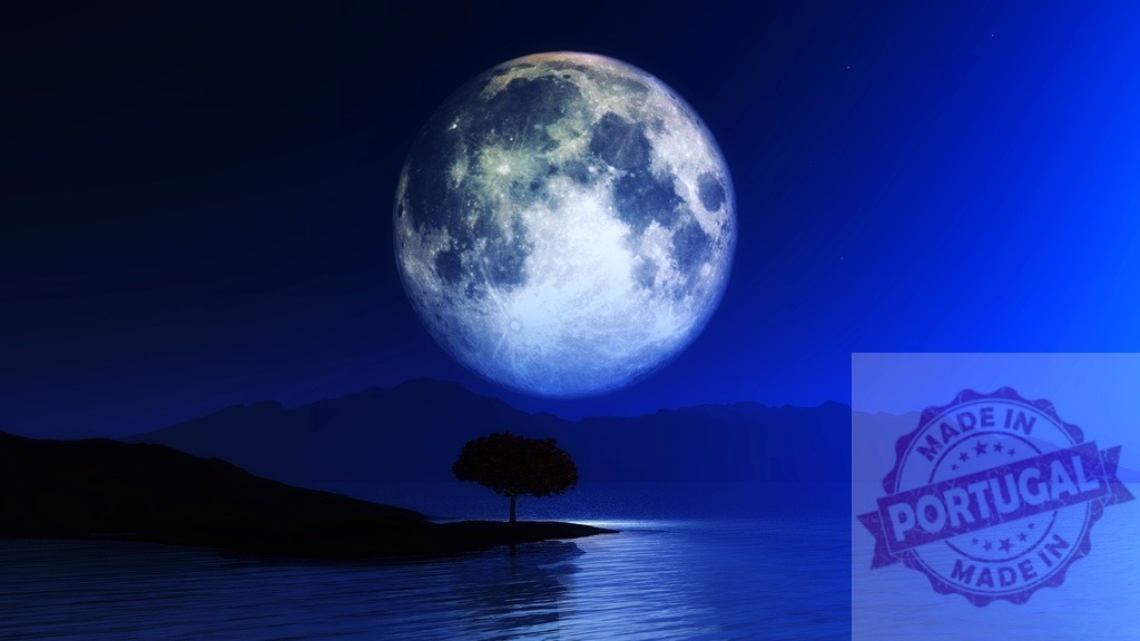 Full moon illuminating lonely tree by still water | Full moon rising over dark landscape with lone tree by water, reflecting moonlight - Realisiert mit Pictrs.com