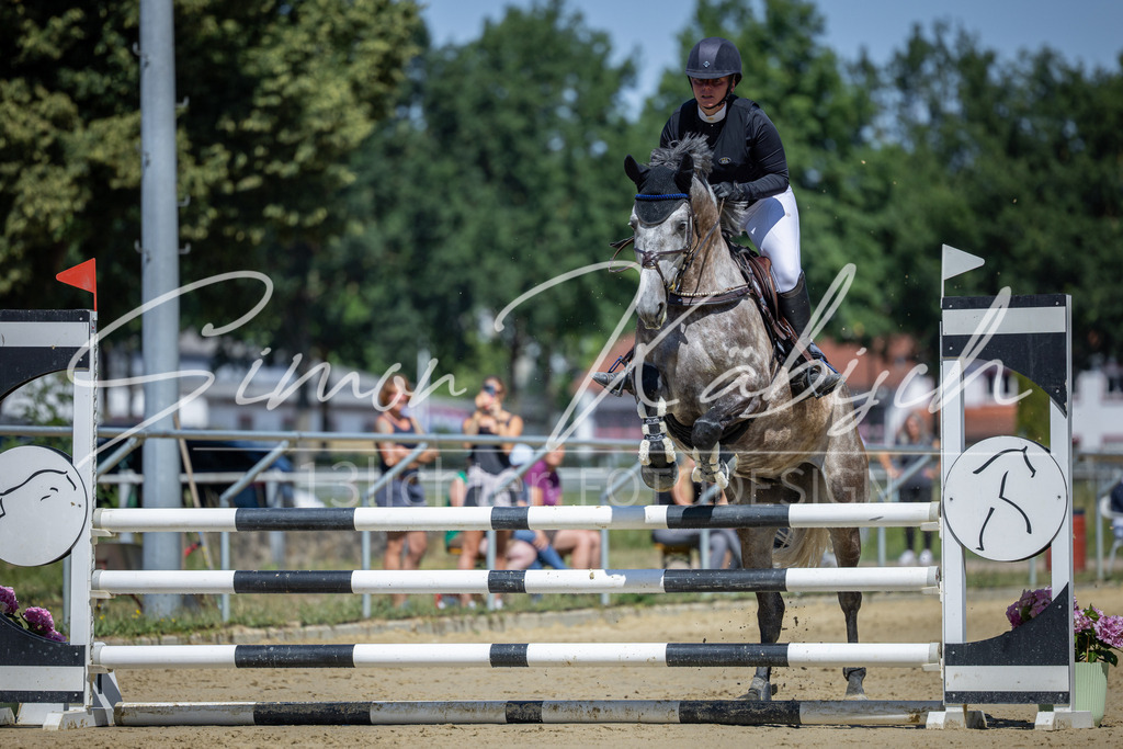 20260704-_3LI7965 | Tierfotografie Pferde, Hunde, Katzen, Haustiere.
Turnierfotografie Reitturniere, Reiten, Springreiten, Dressur in Hanau, dem Main-Kinzig-Kreis und dem Rhein-Main- Gebiet um Frankfurt