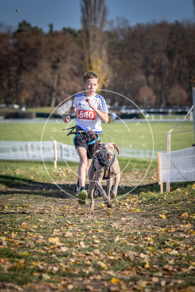 CaniXpix_DV3A8369 | Hundefotografie, Tierfotograf, Pfotenfotografie, Fotoshooting Hund, Hunde Portrait, Hundesport, Hundeportraits, Heideshooting, Hunde, Sportfotograf, Hundefotograf, Turnierhundsport, THS,  - Realisiert mit Pictrs.com
