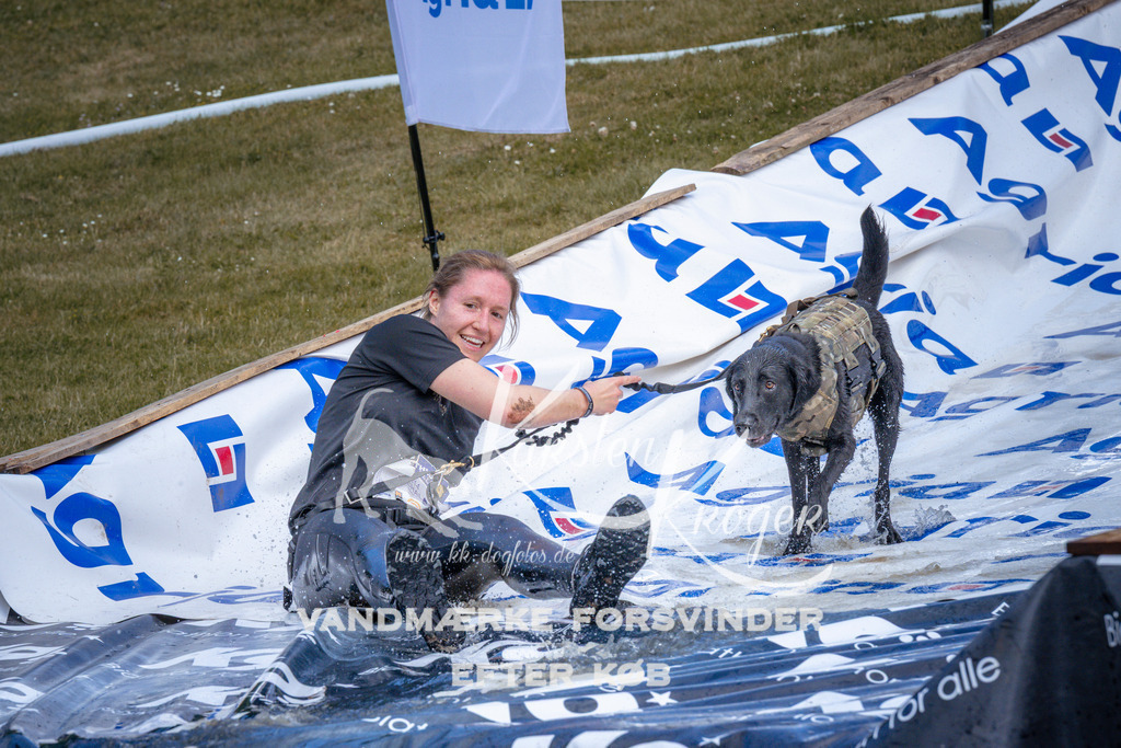 _ZZ944470958 | kk-dogfotos