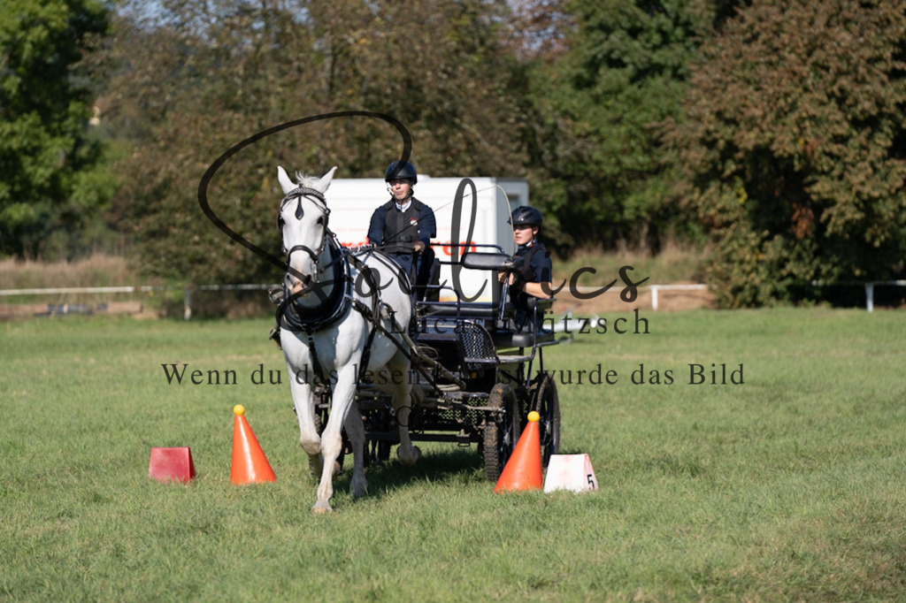 A7V04326 | Pferdefotograf