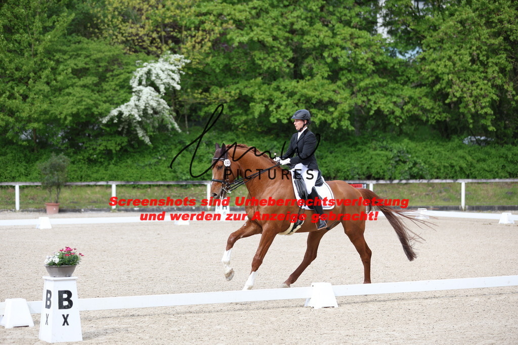 A40A3994 | lmwpictures - Realisiert mit Pictrs.com